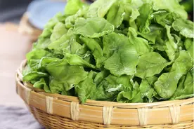 这种蔬菜晒成干，比新鲜的好吃，炖肉炒菜凉拌都可以，保存时间久图片