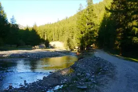 我和我的家乡：从一个农村人的角度，谈谈几十年来家乡的变化图片