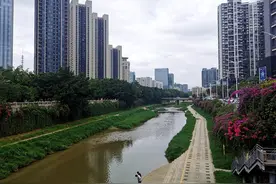 深圳原“关外”风光，城建水平大幅提高，城建景观已经很不错图片