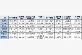 蓝思、欧菲光、长信科技、合力泰…2019年报及2​020首季财报出炉图片