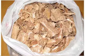 果农为什么喜欢用花生麸？三大优点，让花生麸成为果园之宝图片