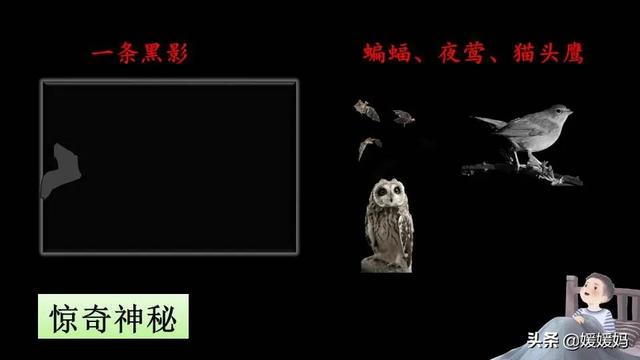四年级下册语文第3课《天窗》图文详解及同步练习
