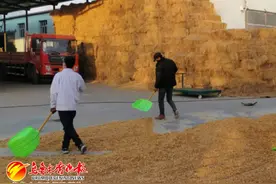走向我们的小康生活｜秸秆逆袭记图片