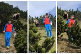 野餐遇棕熊紧跟，12岁男孩沉着应对"靠一招"保住小命图片
