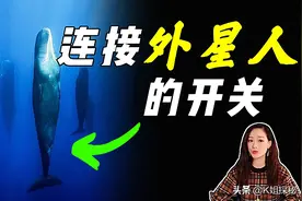水下“巨石阵”，最贵的“便便”，可能会改变人类历史？图片