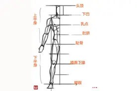 人体基础——腿部画法图片