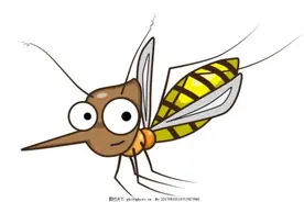 蚊子会在冬天冻死，那夏天的蚊子是从哪里来呢？图片