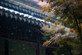 又到一年梅雨季，雨中的江南园林是最美的一刻图片