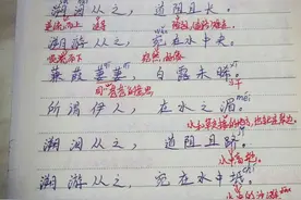 中国几千年来最美的诗歌——蒹（jian）葭（jia）图片
