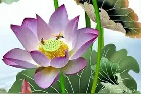 女人，真正“心寒”后、都会是这个样子图片