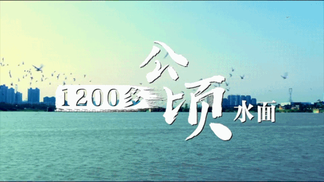 屣ǷΪҪ