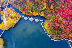 收藏！山东私藏的7个绝美露营地超适合自驾！这个国庆就出发！图片