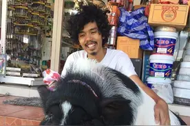 男子与猪日久生情，同吃同住准备结婚生活一辈子图片