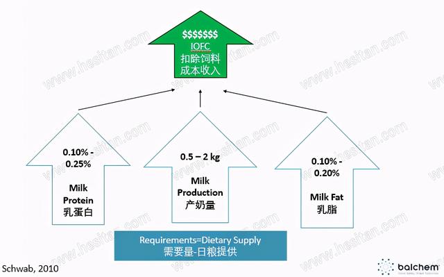 奶牛氨基酸平衡日粮——增加单产VS降低成本