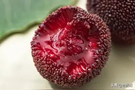 云南石屏大杨梅，有恰到好处的酸甜比，绝对是杨梅中的“大块头”图片