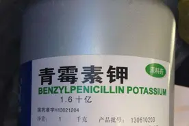便宜又高效的药——青霉素在养鸡时的妙用，这样用绝了图片