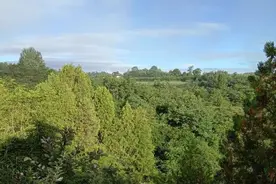我的姑姑们（一）图片