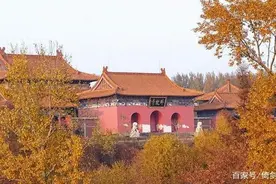哈尔滨金秋赏红叶--国庆正是醉美时图片