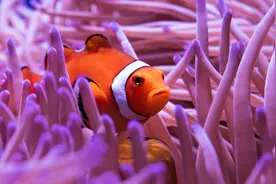 新手养鱼的正确打开方式（一）图片