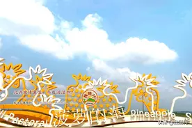 “菠萝”来了！广东湛江“菠萝的海”自驾游玩攻略图片