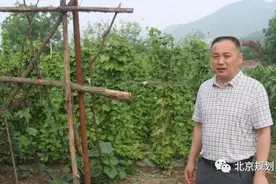 市规划自然资源委门头沟分局第二规划国土所所长贲友军：坚定初心守护绿水青山，扎根基层续写军人风骨图片