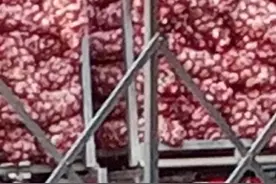 “蒜你狠”卷土重来，今日江苏邳州大蒜收购价格图片