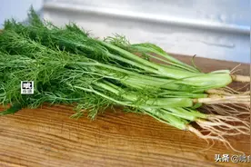 你喜欢吃茴香吗？我的最爱，包饺子摊鸡蛋都是美味图片