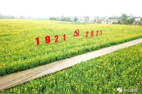 光山县仙居乡万亩油菜花惊艳绽放  踏青赏花正当时图片