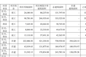 盈利能力不足、资金高度承压 珠江实业寻求突围图片