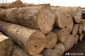 全球最贵木材1公斤上万元，不识货拿它当柴烧，快看看你家有没有图片