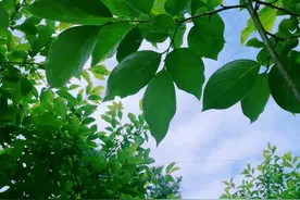 平行时空里的我，过得完满且快乐图片