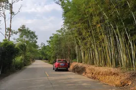 万绿湖自驾游，走走又停停，最美风景在未知的路上图片