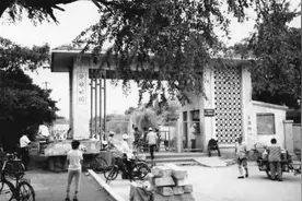 沈阳劳动公园变化太大了图片