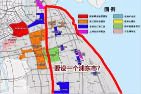 别炒作浦东了！小心被割图片