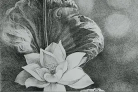 精细钢笔画《出水芙蓉》和《长天一色》创作手札图片