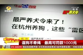杭州“最严养犬令”来了！爱犬市民要注意了，看看有没有违规！视频封面