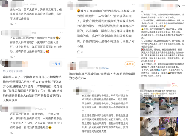 开一个狗咖的成本  投资不高简直是爱狗人士的天堂（我花89元看狗打架1小时）