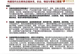 33页PPT带你了解生鲜新零售供应链体系图片