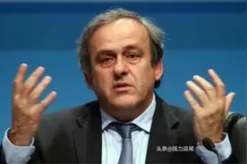 长篇解读——普拉蒂尼到底是个什么玩意？图片