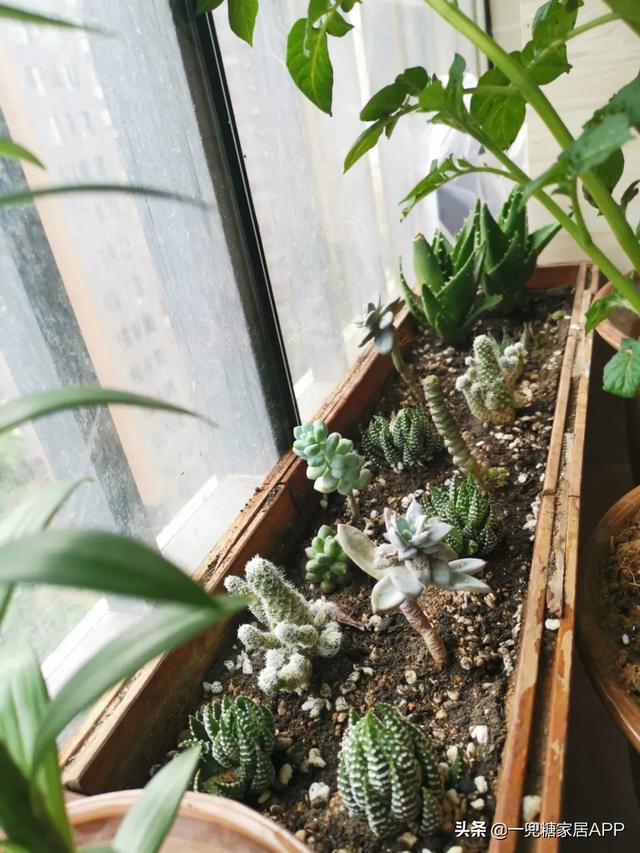 废料还能玩出这么多花样?看,又双叒丢掉不止一个亿吧