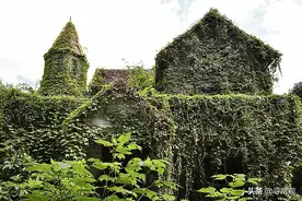 探秘重庆北碚被植物吞没的别墅群，据说曾闹过鬼图片