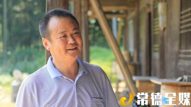 桃源乌云界：白云生处养蜜蜂，年产值达70万元