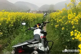 豪爵NK150骑行油菜花海（第一次小跑体验）图片