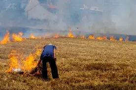 秸秆焚烧放开了？今年让烧吗？看看官方发布的通知，早准备图片