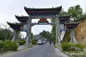 易武茶区名山普洱茶，喝过5种是高手图片