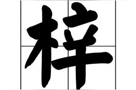 梓字取名的寓意是什么？宝宝起名到底能不能用？我们分析两点图片