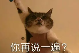 猫咪表情包（3）：Power图片