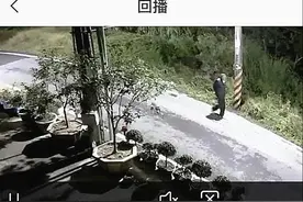 半夜狗狗一直吠叫，未发现异常就指责它们，查看监控后才醒悟了图片