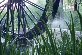 三天假期去哪玩？来石河子尽享诗意田园生活图片