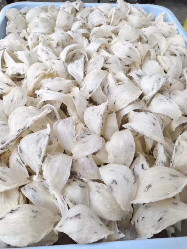 血燕窝和白燕窝的区别有哪些（燕窝的颜色分类白燕黄燕和血燕）